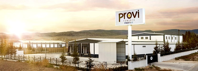 Provi Yumurta