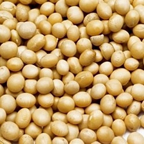 tam-yagli-soya